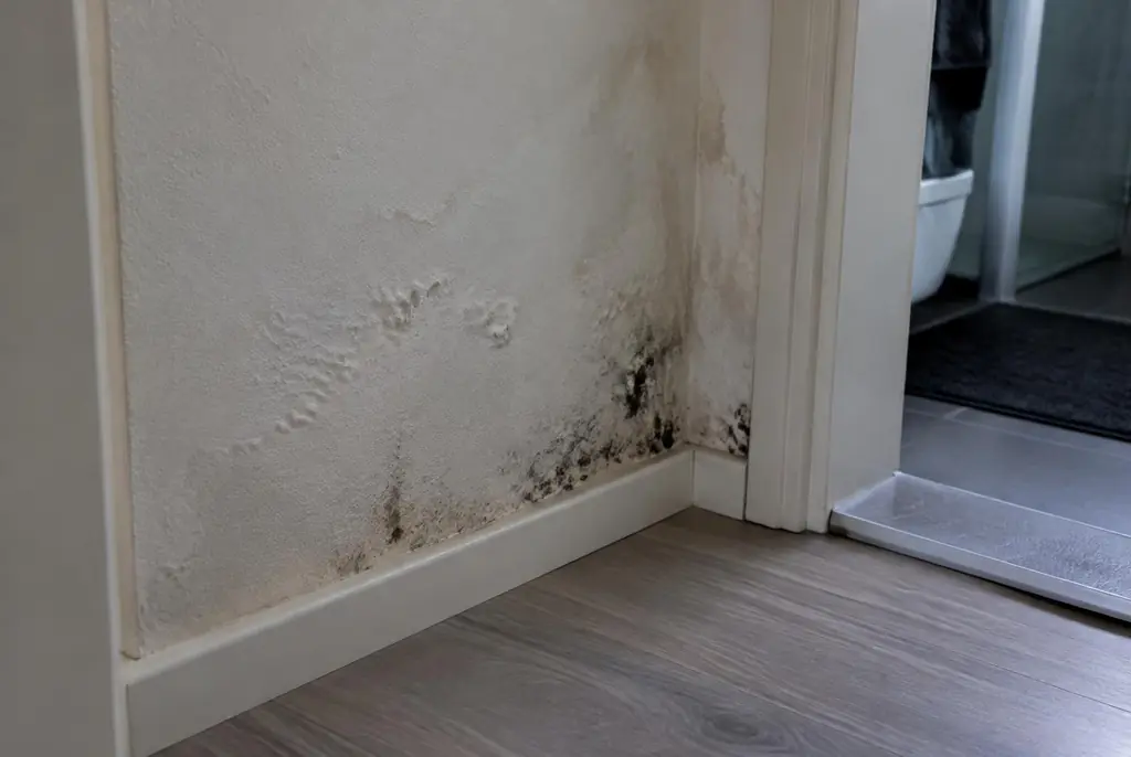 Lekdetectie Heiloo – vochtplek met schimmel op een muur